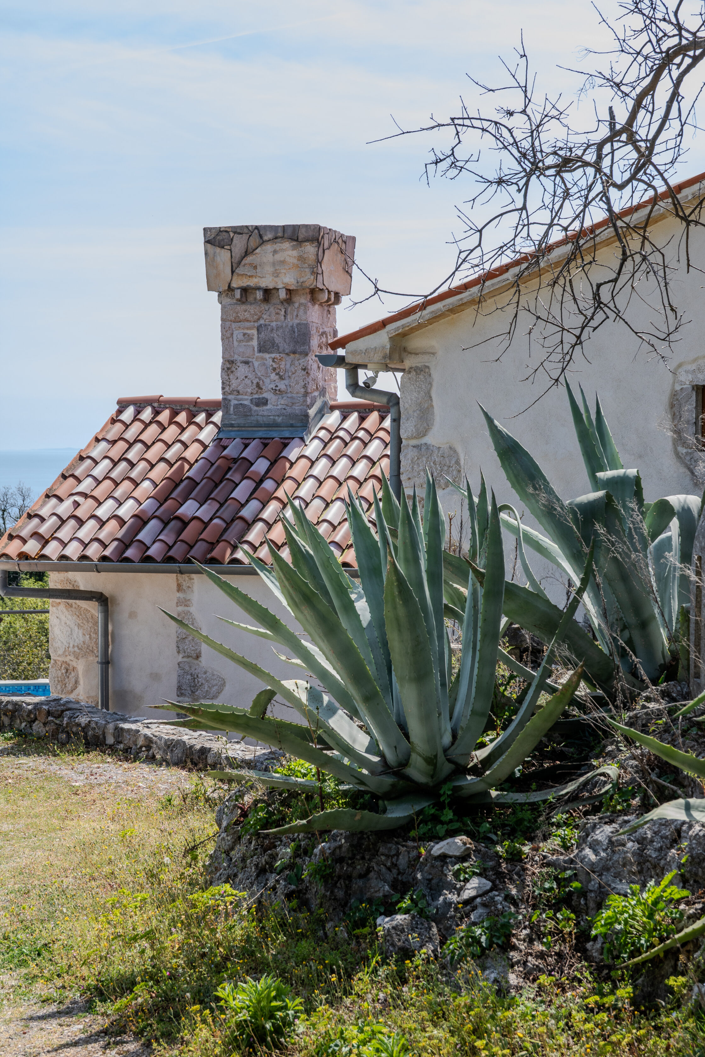 garden views